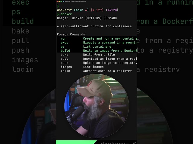 Junior Programmers and Artificial Intelligence (My Opinion)