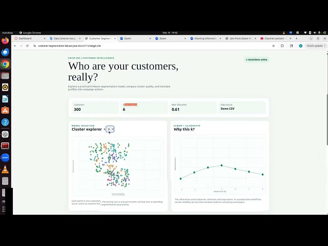 Customer Segmentation Clustering