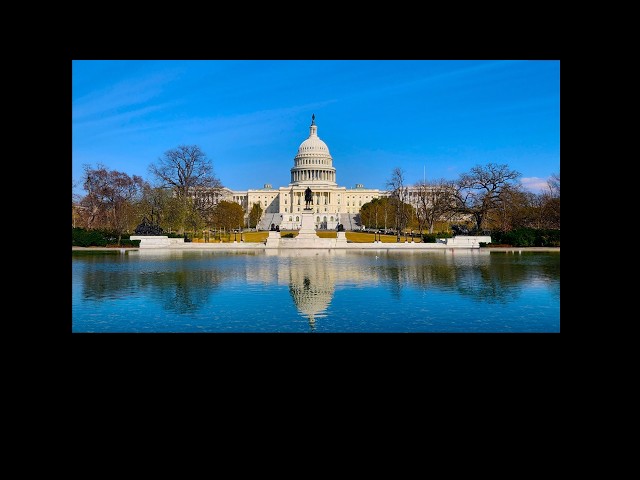 Washington DC Spring in MS3D VR180  -Single cellphone VR content capturing