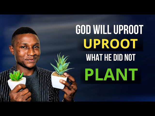 GOD will UPROOT What He Did not PLANT in You | Matthew 15:13
