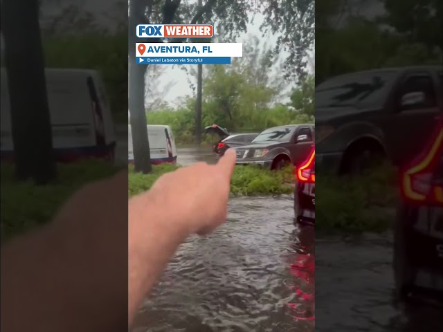 Cars Abandoned In Florida Floodwaters #florida #severeweather