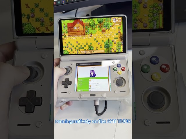 Is This the BEST Way to Play Stardew Valley? #aynthor #stardewvalley #stardewmods #androidgaming