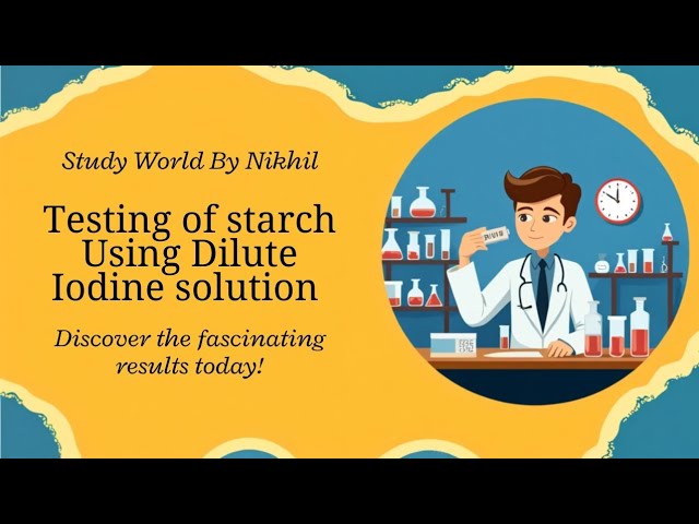 Testing of starch using iodine solution in Science