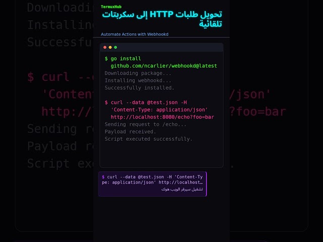 تحويل طلبات HTTP إلى سكربتات تلقائية #Shorts
