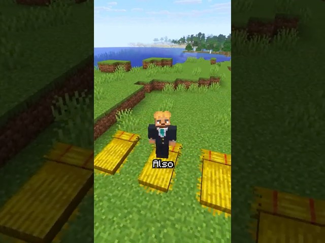 Minecraft Added CHAIRS