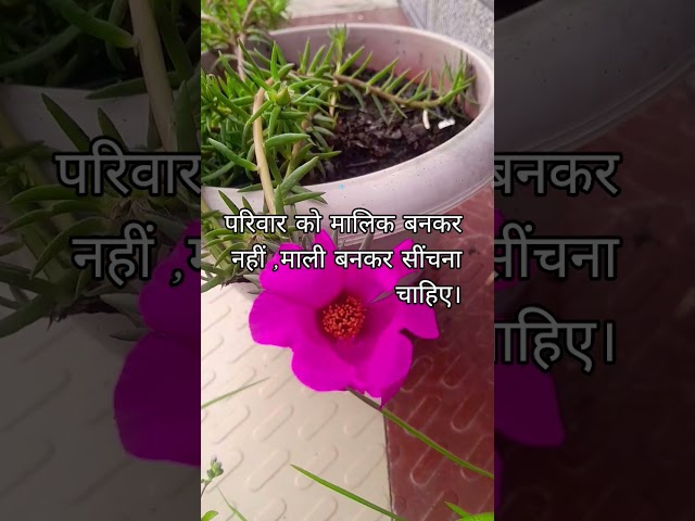 # परिवार को माली की तरह सींचो। #like #subscribe