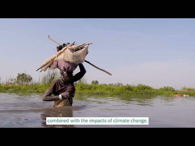 Despite Challenges, We Made a Difference