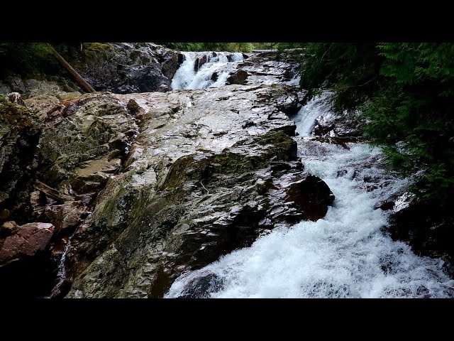 💦 Weeks Falls | Washington’s Most Underrated Waterfall Powerhouse