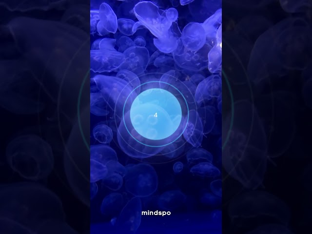 Guided Breathing Exercise 🪼💙 | Mindspo