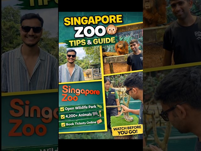 Singapore Zoo Tips and Guide | River Wonders 🐘🦁 #shorts