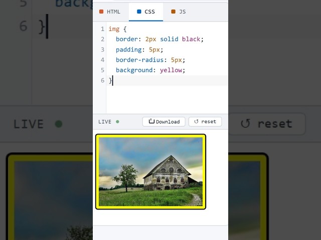 HTML Image Border and Padding #coding #htmltutorial #csstutorial