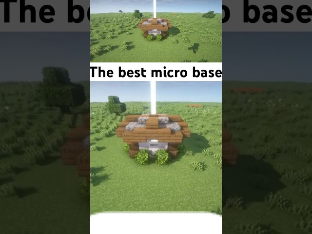 The BEST micro base