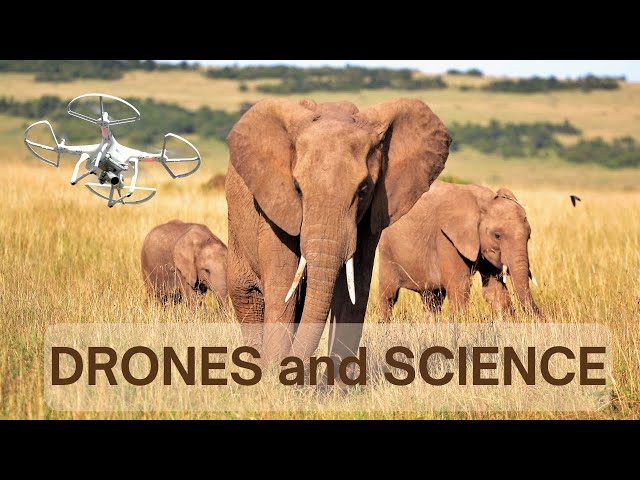 How Are Drones Used For Cutting-Edge Science? (YDQA EP 113)