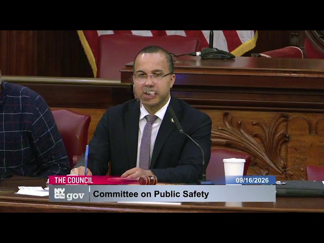 🔴 LIVE: Oversight Hearing on NYPD Crime Statistics