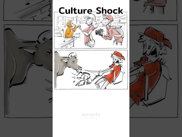 Culture Shock [Shorts Version] #travel #psychology #sociology #cultureshock #sproutsschools
