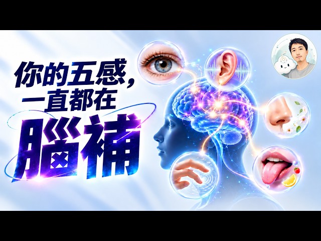 Your Brain Is Always Filling in the Blanks — Can You Trust Your Five Senses?