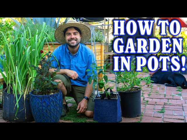 Container Gardening 101: From Pot To Plant