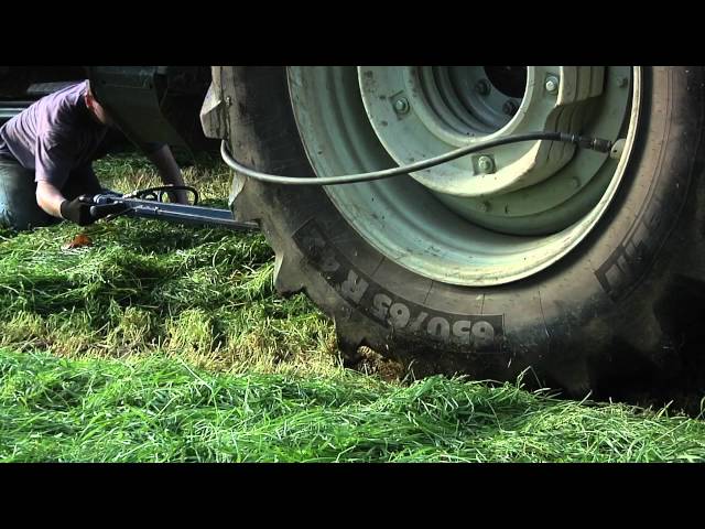 GRASSMEN - Green Fever - The Missing Chapter