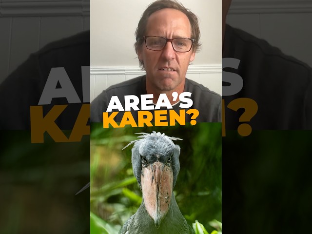 You've met Angry Birds, now we have Judgmental Birds. #birds #pbsnature #animals #NatFaxon