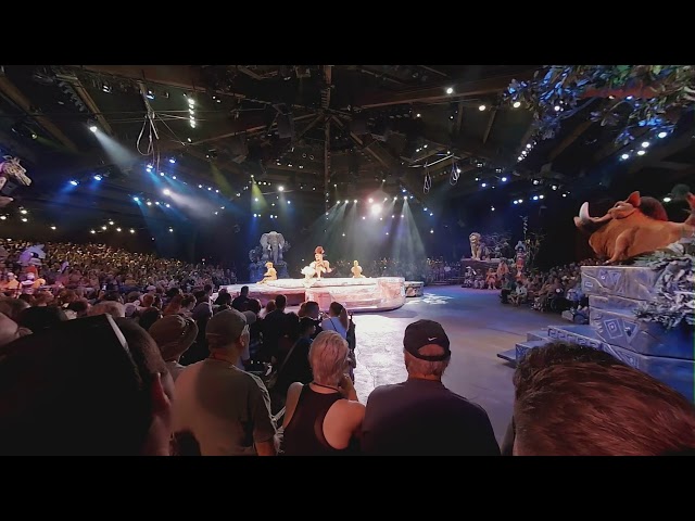 Festival of the Lion King in 3D / 5K / VR180