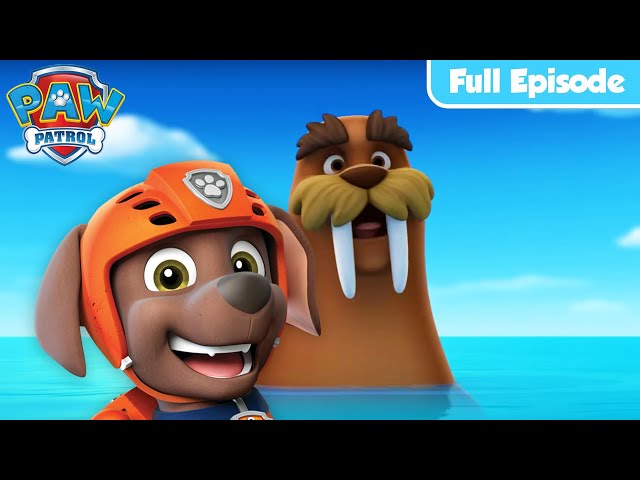 Pups Save A Walrus & MORE! | PAW Patrol FULL EPISODES | Cartoons for Kids