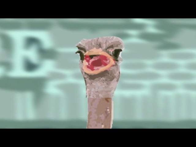 Ostrich Wearing Pants