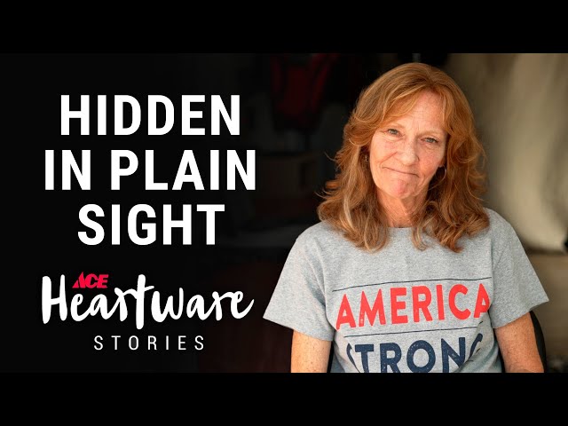 Hidden In Plain Sight- Ace Heartware Stories