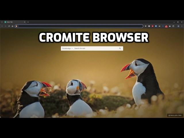Cromite Browser