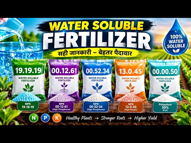 Water Soluble Fertilizers –सही Fertilizer,सही Dose,सही Time |ಬೆಳೆಗಳಿಗೆ Water Soluble Fertilizers