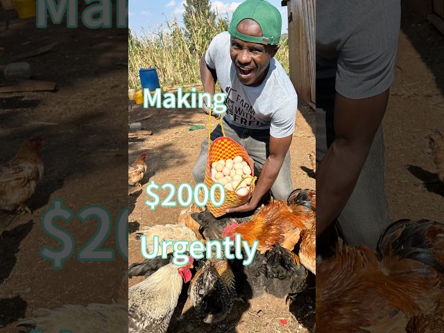 Making Money urgently #short #farming #shorts
