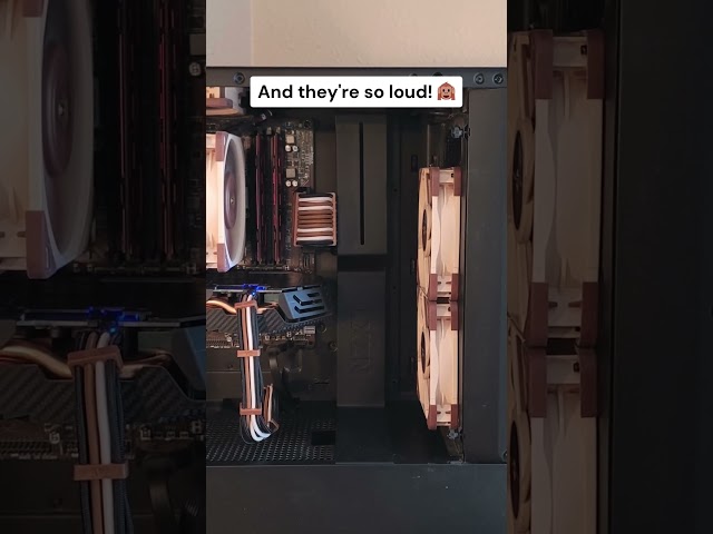 Dare you to find me a bigger waste of time than this video about Noctua Fans...