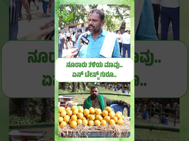 ನೂರಾರು ತಳಿಯ ಮಾವು. . ಏನ್‌ ಟೇಸ್ಟ್‌ ಗುರೂ.! Hundreds of Mango Varieties