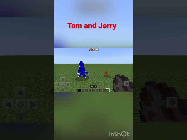 I spawn Tom and Jerry in Minecraft short