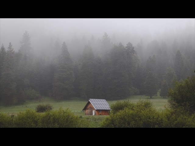 Replacement ¦ Beautiful Ambient Mix
