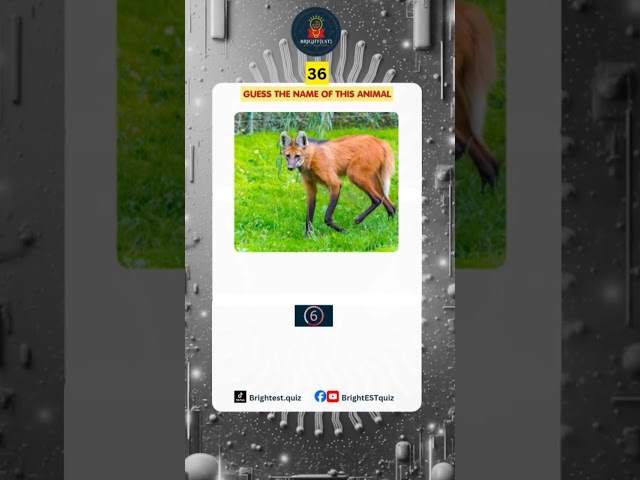 Guess the name of this animal #quizgame #animals #triviachallenge #brightestquiz #fypシ゚viral