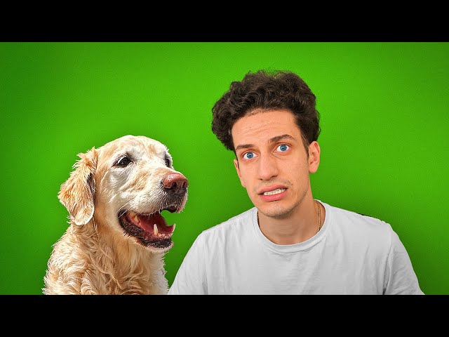 My dog has Cancer...