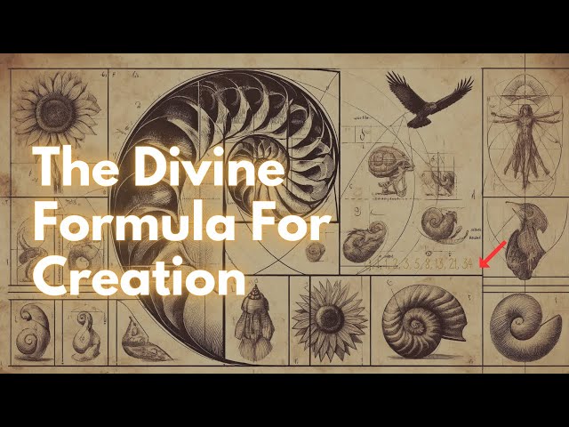 This Sacred Geometry Will Help You Understand The Universe: Fibonacci Spiral (Golden Ratio)