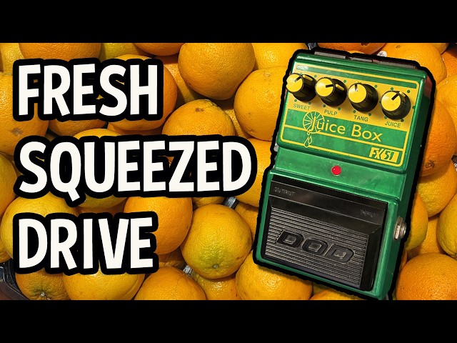 DOD FX-51 Juicebox - Grunge's Distant Cousin