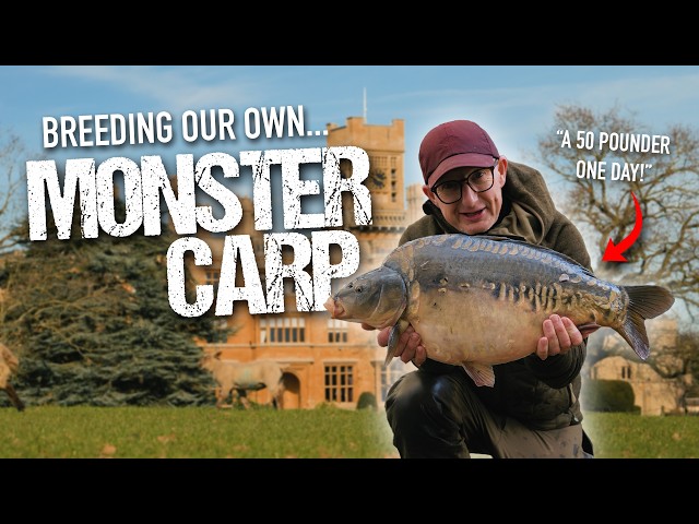 HARVEST TIME AT EMBRYO | Danny Fairbrass picks his favourite carp, home-grown specials and more!