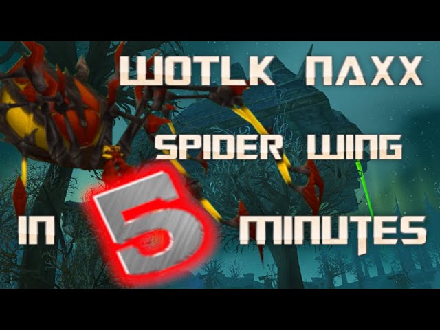 WOTLK NAXX, SPIDER WING IN 5 MIN !