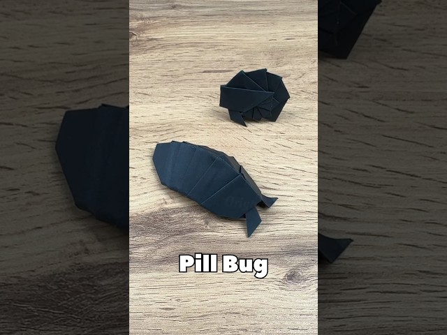 EASY ORIGAMI PILL BUG TUTORIAL STEP BY STEP | ORIGAMI ROLY POLY BUG FOLDING | DIY BUG FROM PAPER