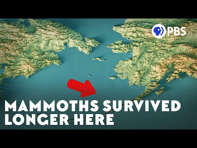 The Second-to-Last Mammoths Ever