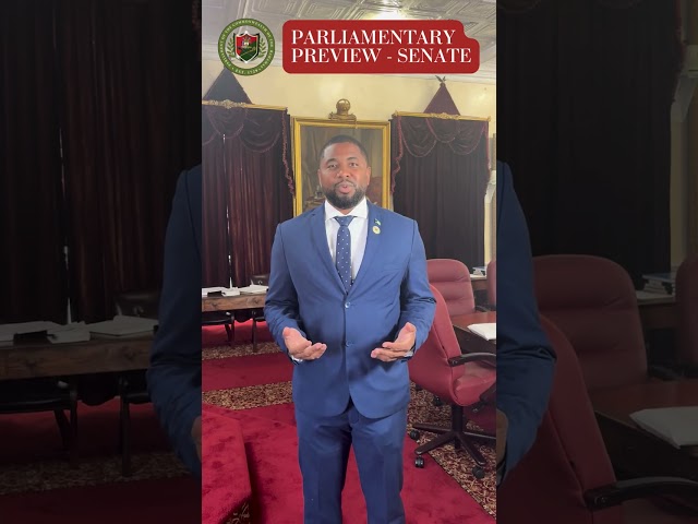 The Bahamas Senate Parliamentary Preview