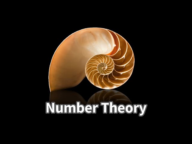 An Overview of Number Theory