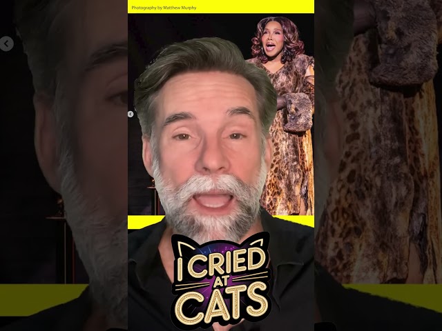 Cats Made Me Cry