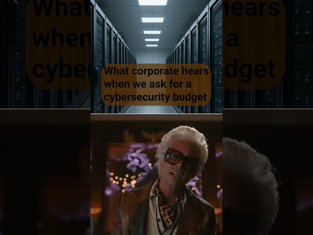 How it feels asking for a cyberscurity budget