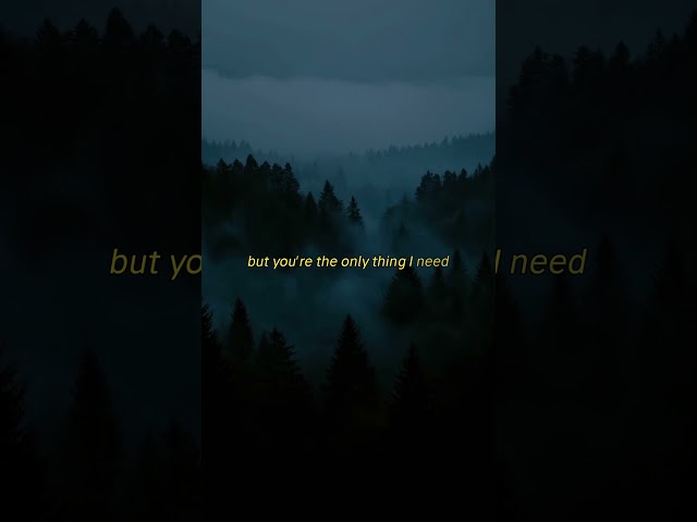 Gravity - Angels in Ashes