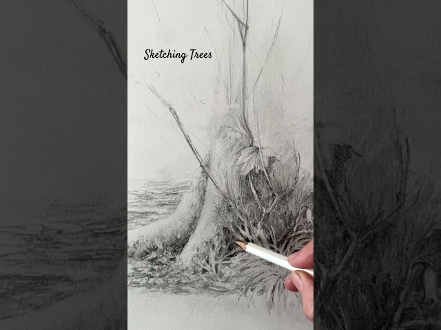 Sketching TREES In My Sketchbook, #looselandscape tree practice #loosewatercolorpainting