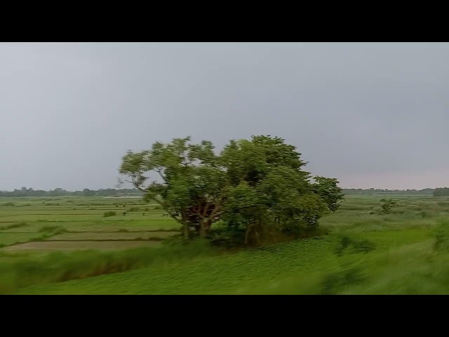 वाह ! क्या नजारा है 😎