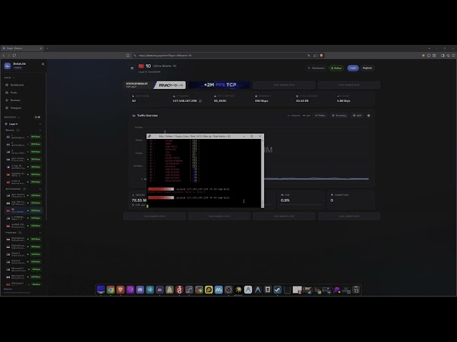 BOTNET SHOWCASE | CHEAPEST ON THE MARKET | BEST L4&L7 | Miro C2/API